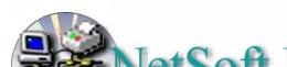 NetSoft Engineering Logo