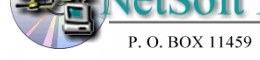 NetSoft Engineering Logo
