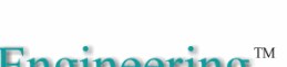 NetSoft Engineering Logo