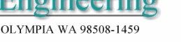 NetSoft Engineering Logo