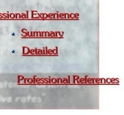 Professional Experience