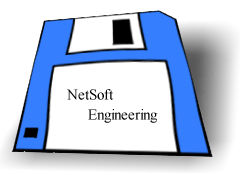Call NetSoft Engineering - (253) 946-1433